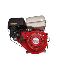 Motor Brigs H.L de 9HP