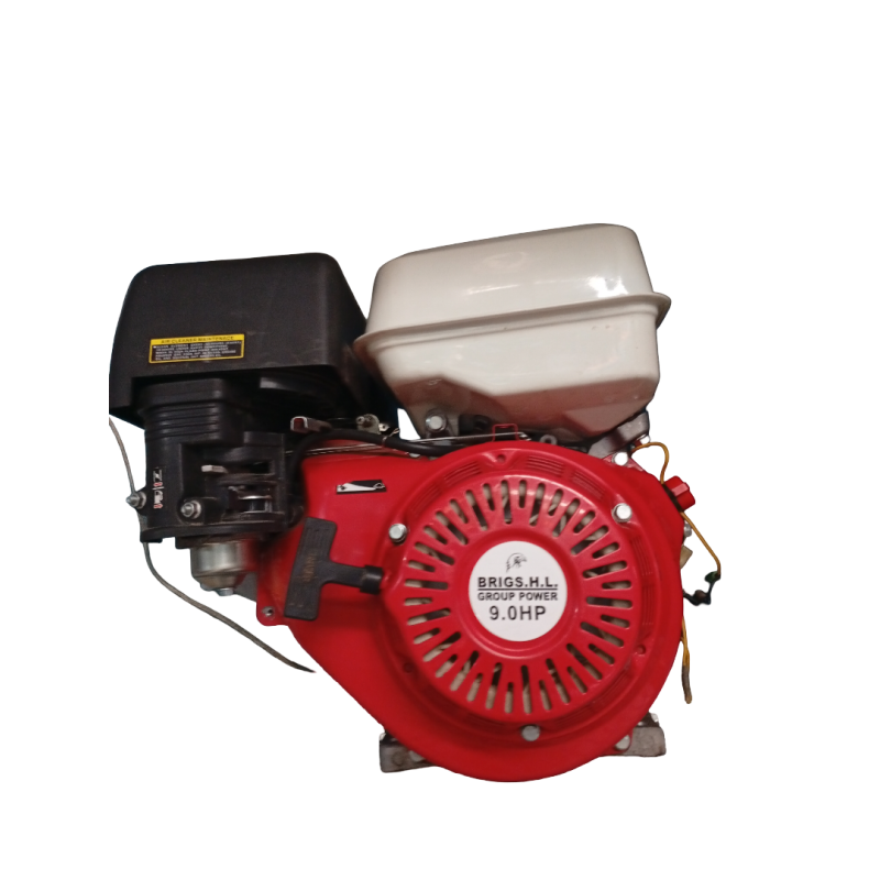 Motor Brigs H.L de 9HP