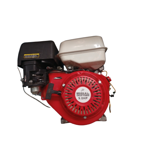 Motor Brigs H.L de 9HP