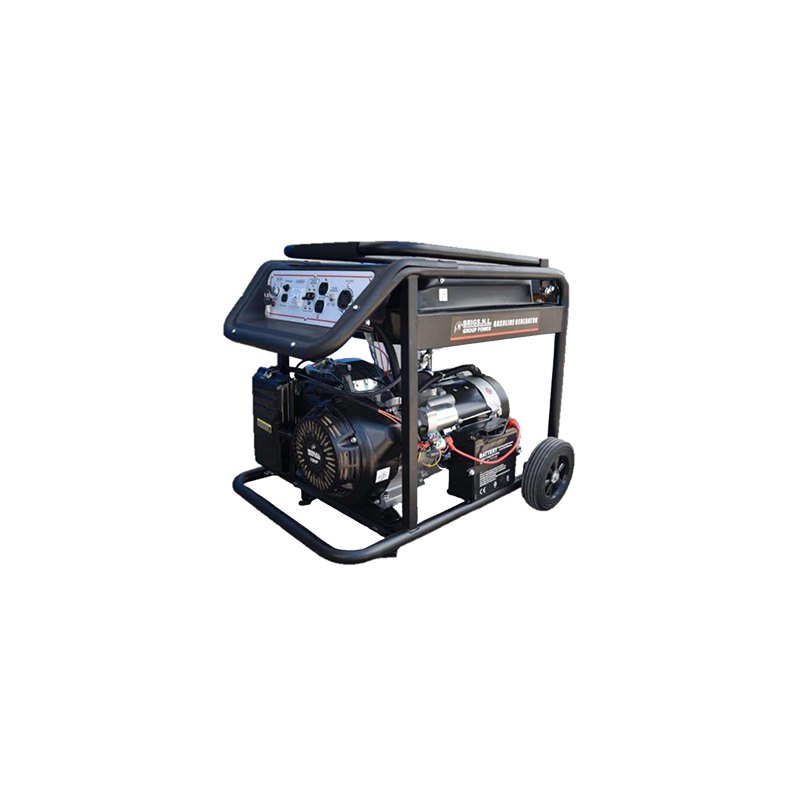 Generador Brigs H.L. 5500W