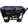 Generador Brigs H.L. 10000W